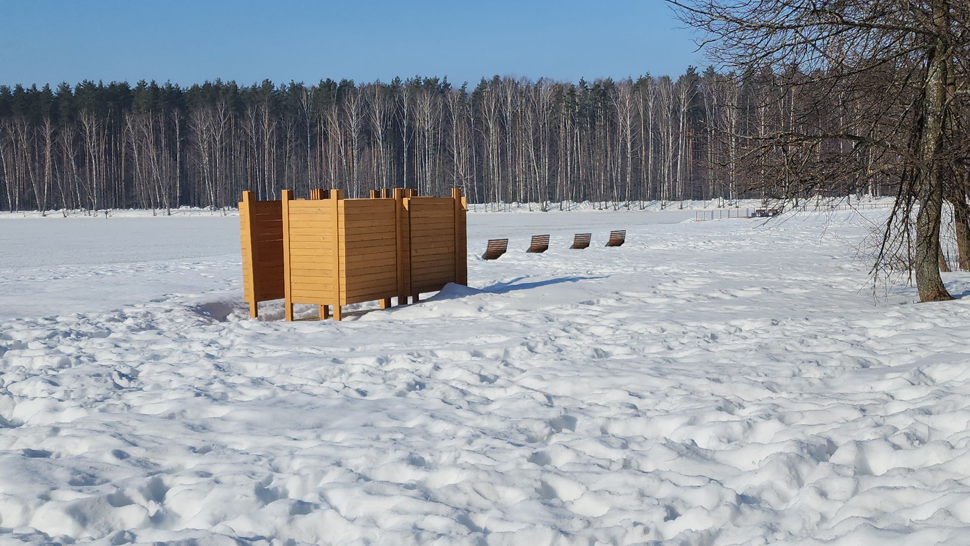 электросталь, мой город, жители города, благоустройство, благоустройство 2024, благоустройство парков, выездная администрация, обращение жителей, весна в парке, весна в подмосковье,