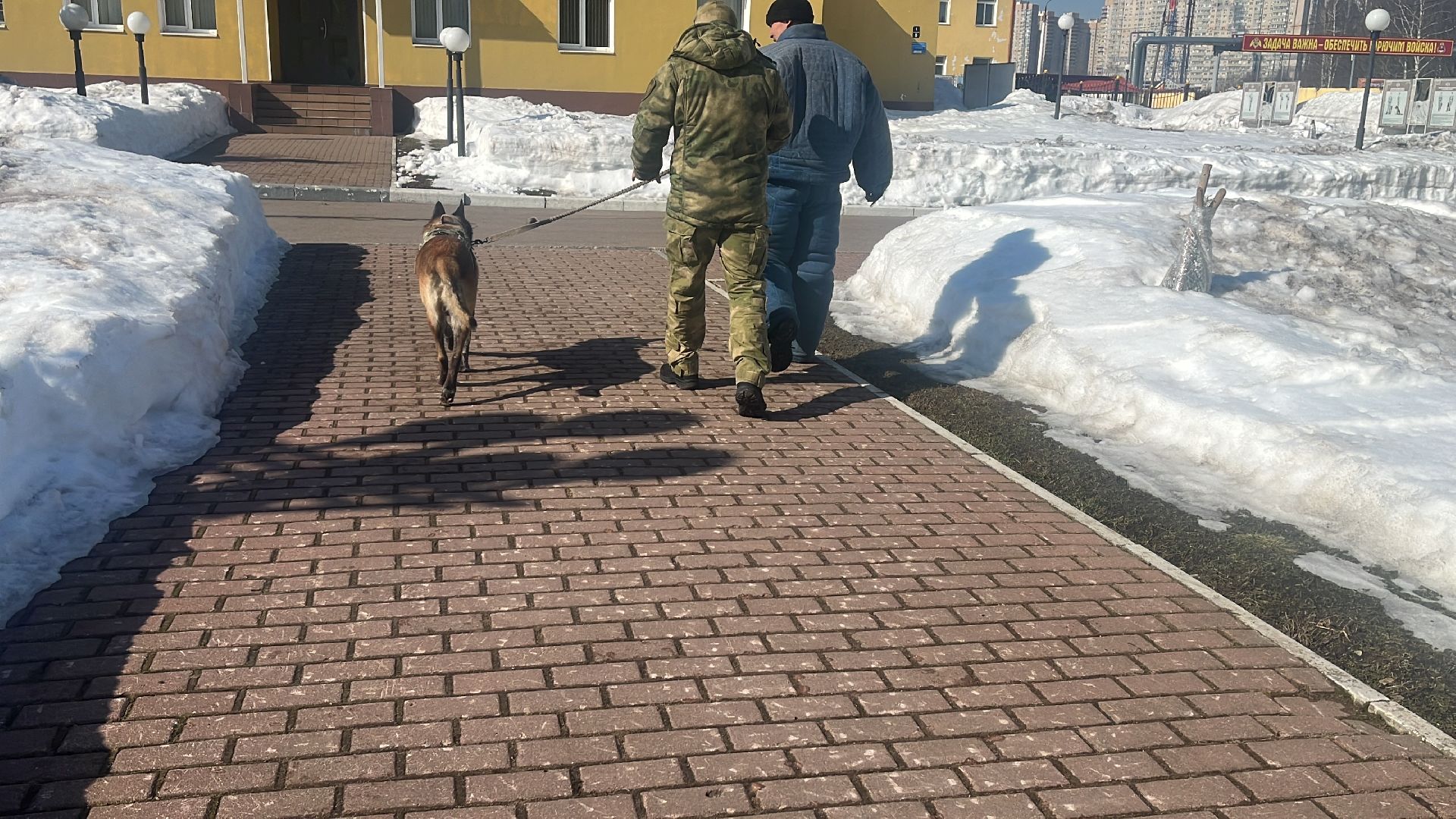 служебная собака, награда,