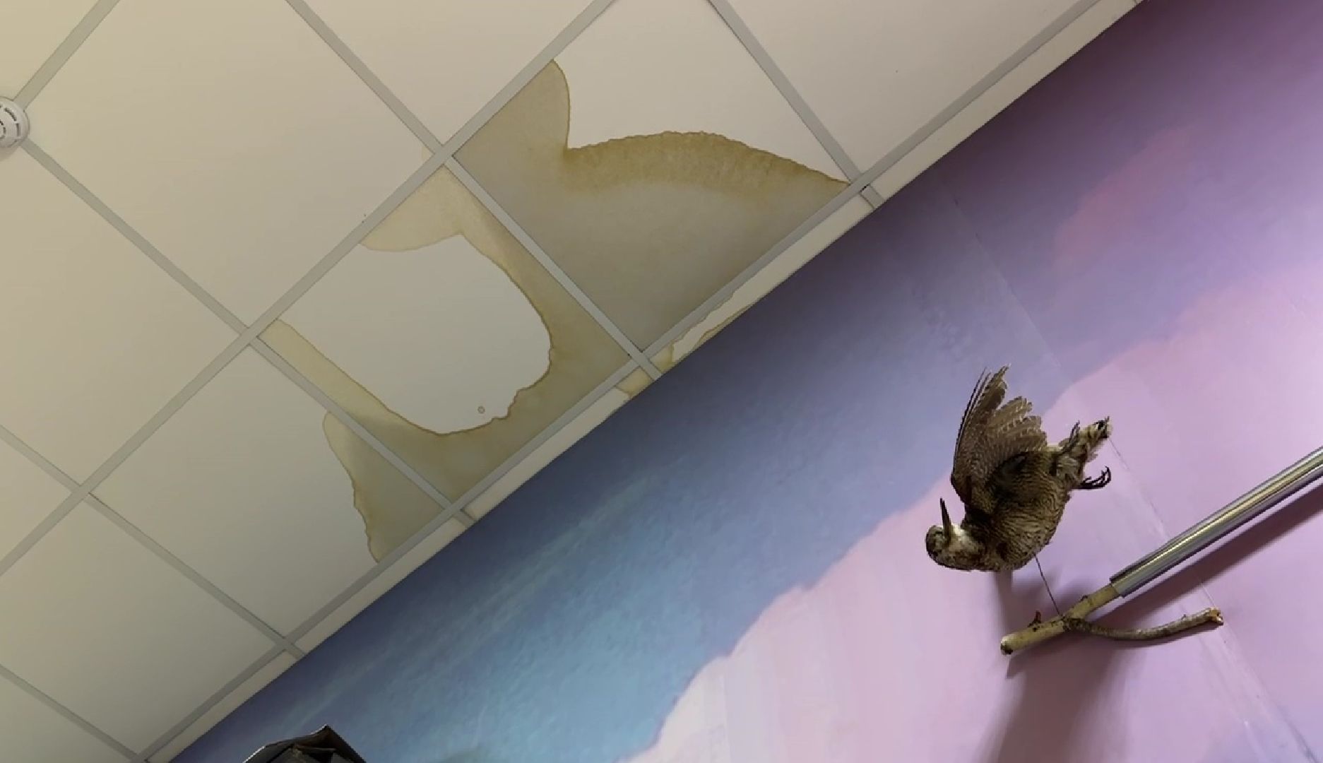 Реутов, пожар, возгорание, огонь, ущерб, музей, экспонаты,