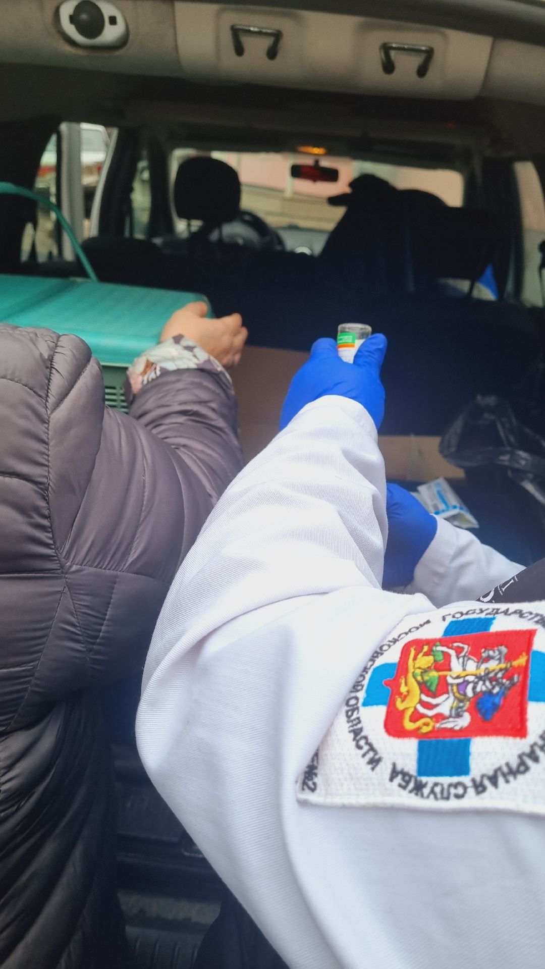 Подмосковье, Ивантеевка, животные