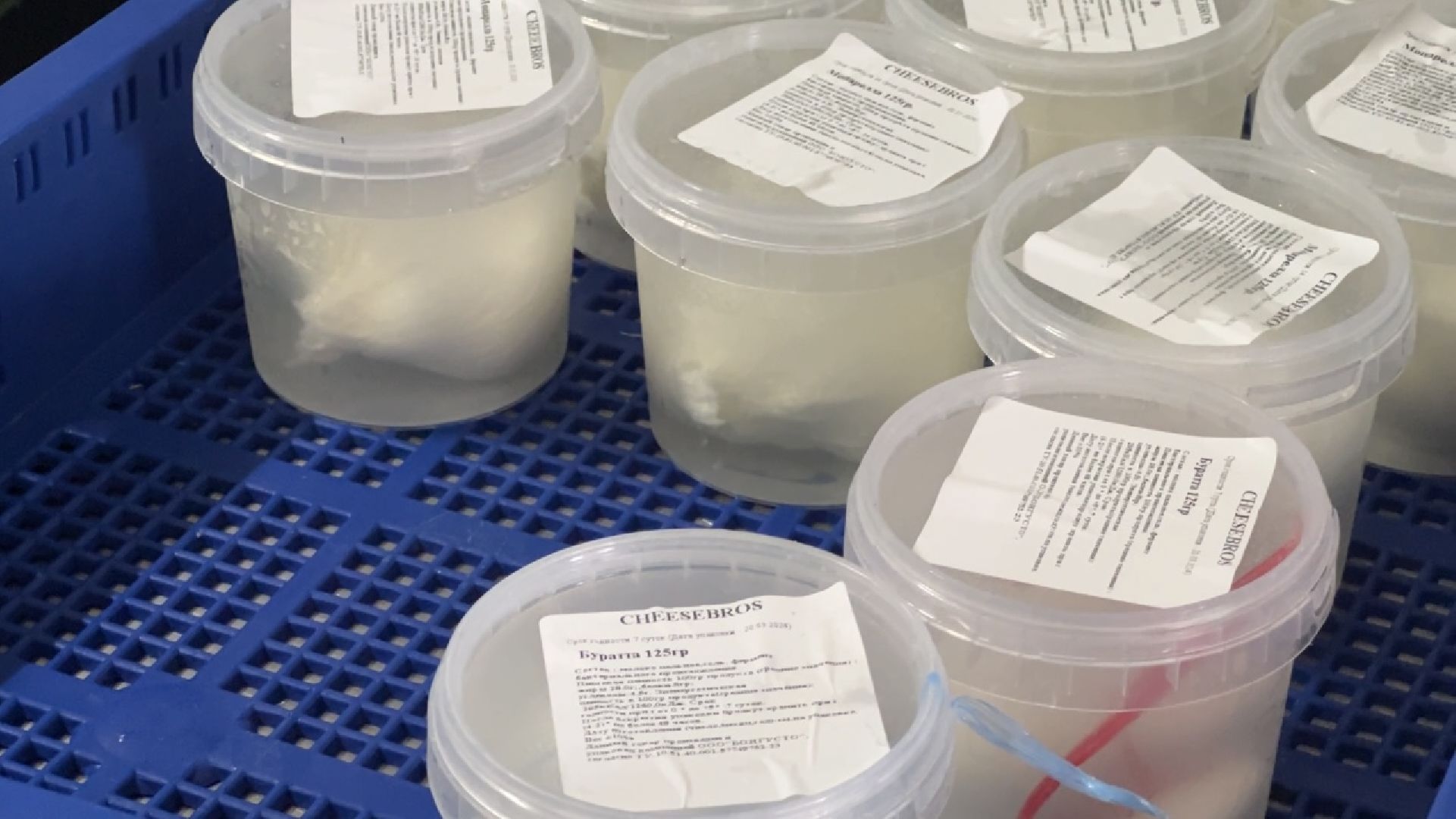 химки, экономика, малый бизнес, предприниматель,сыроварня,