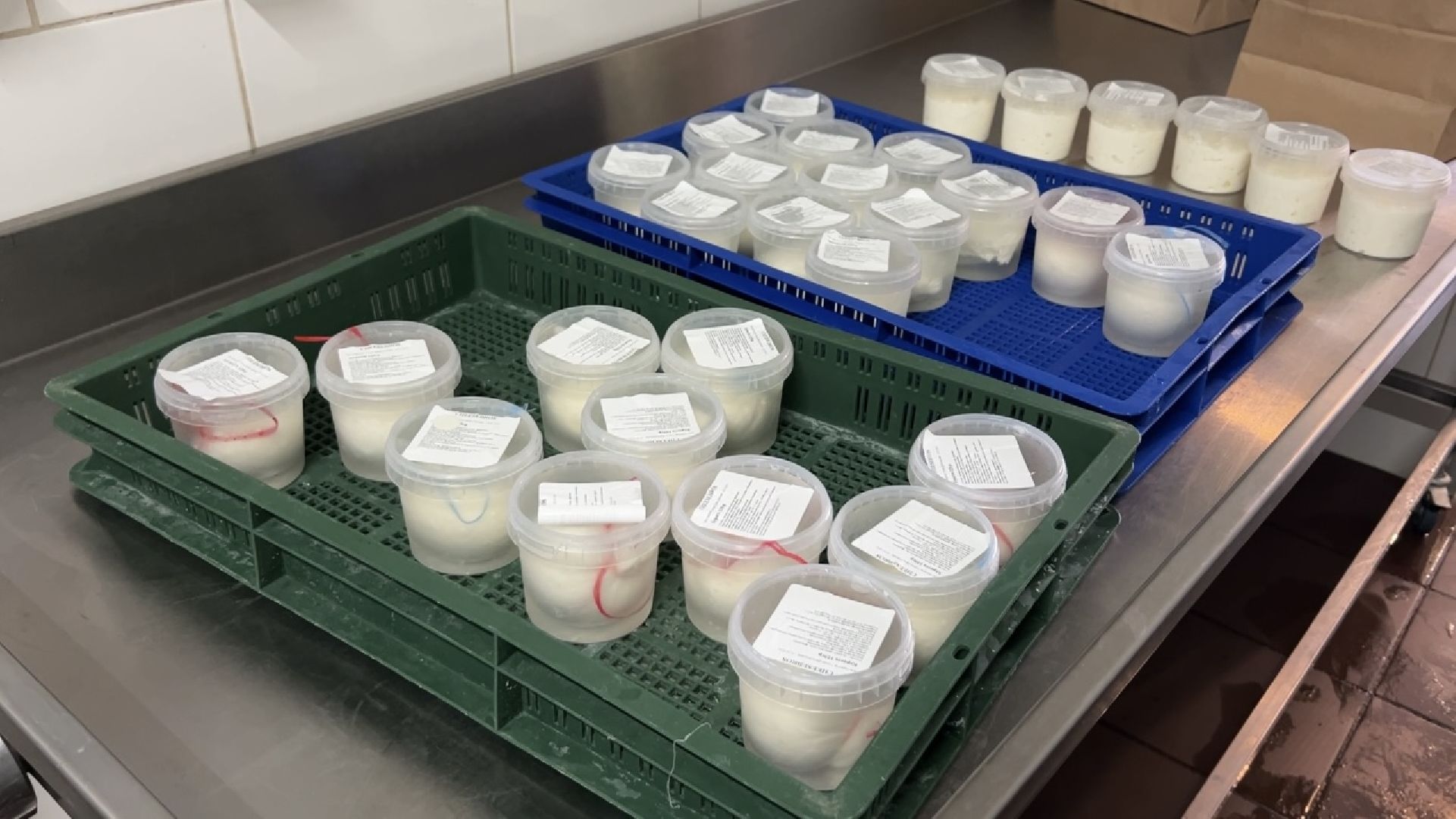 химки, экономика, малый бизнес, предприниматель,сыроварня,