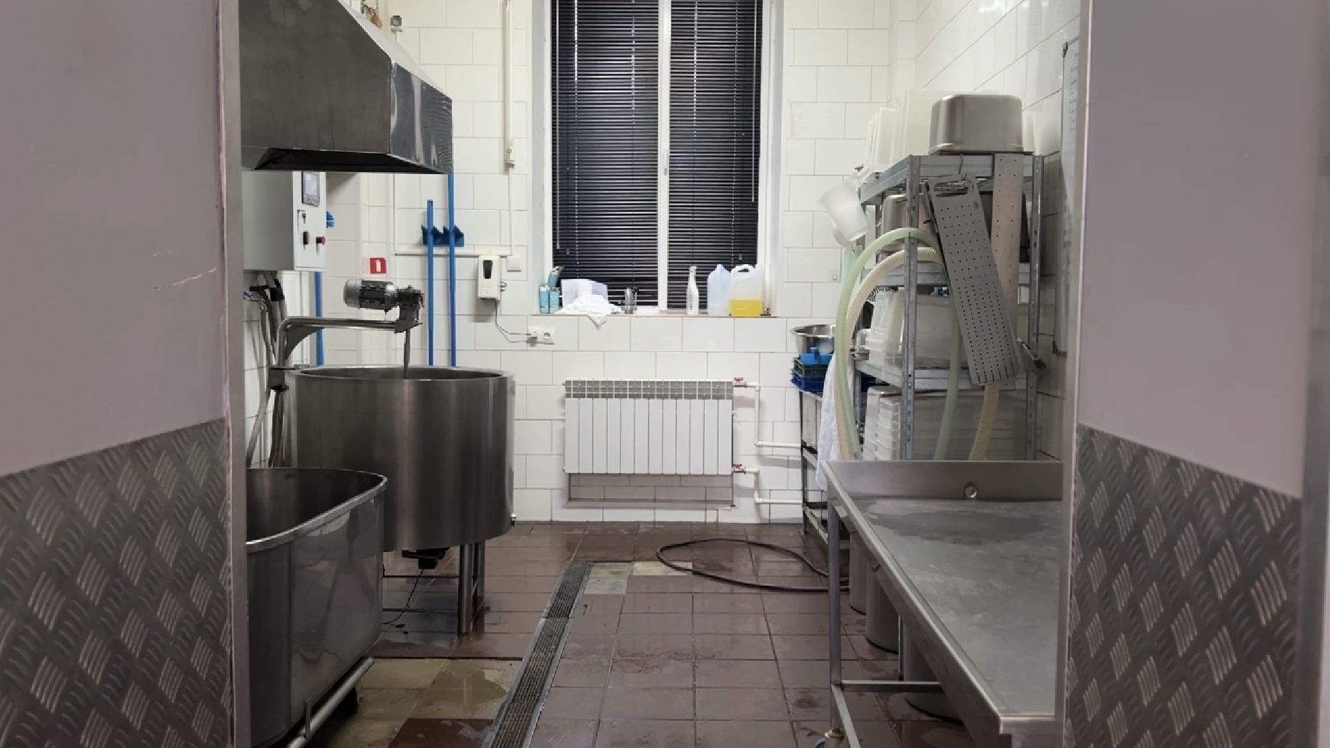 химки, экономика, малый бизнес, предприниматель,сыроварня,