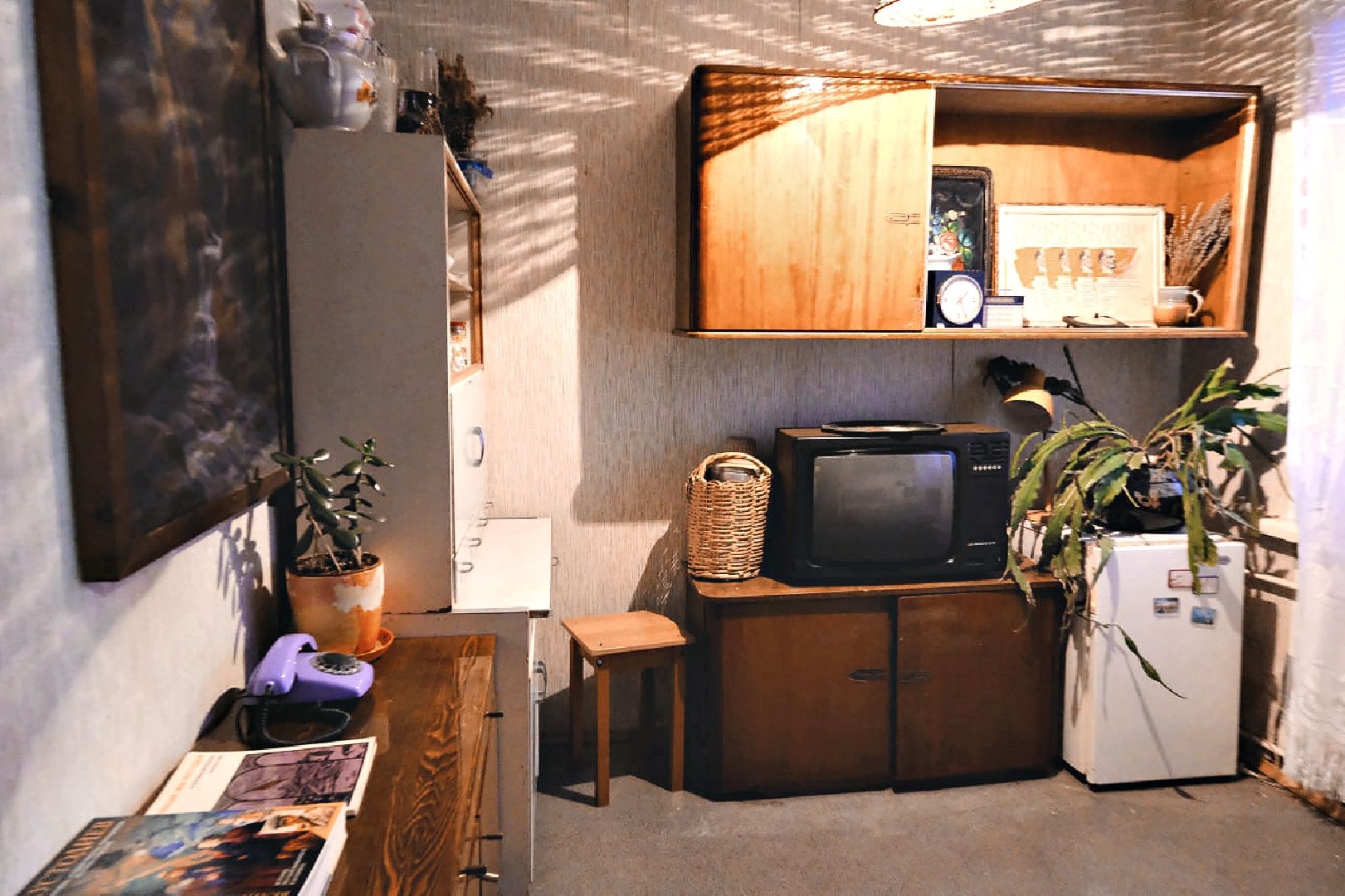 пущино, музеи подмосковья, волонтеры культуры, музеи, ссср,