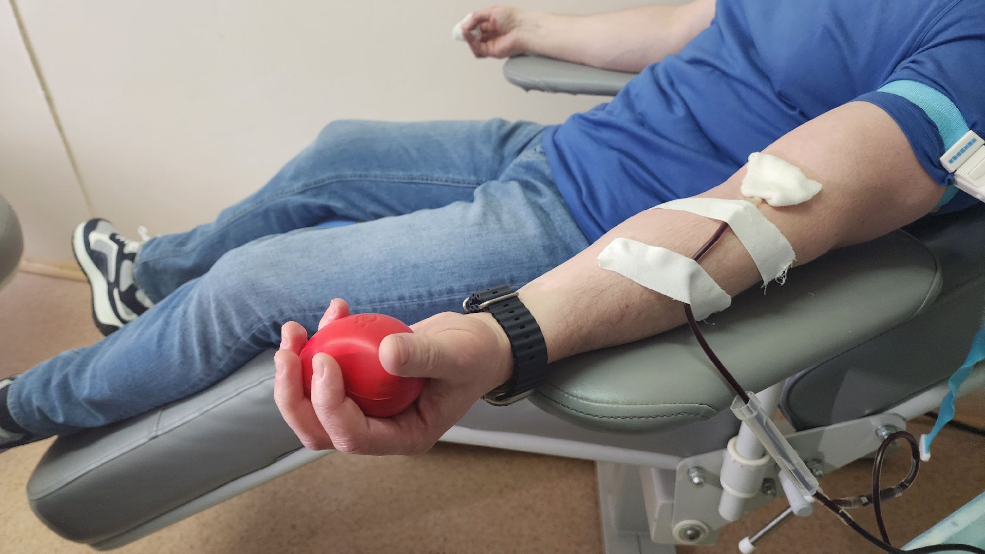 Подмосковье, Городской округ Пушкинский, глава городского округа, донор,