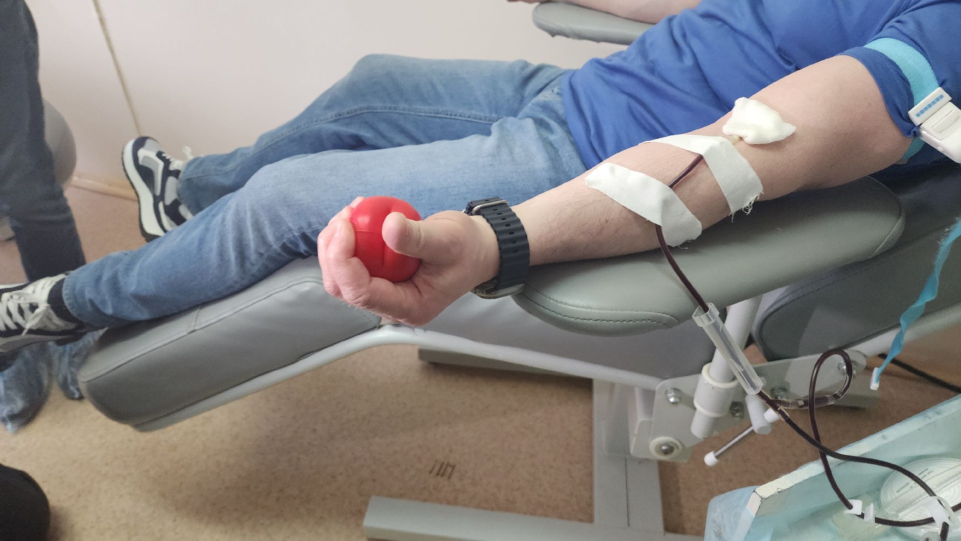 Подмосковье, Городской округ Пушкинский, глава городского округа, донор,