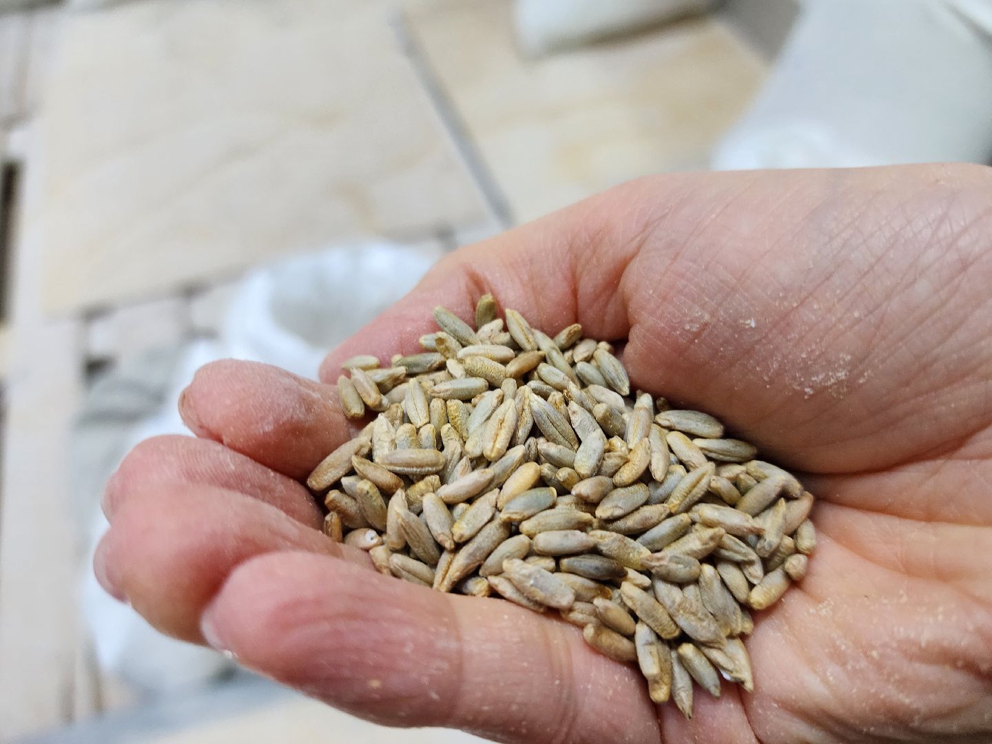 Хлеб, производство, пекарня, руза, рузский городской округ, московская область, подмосковье,