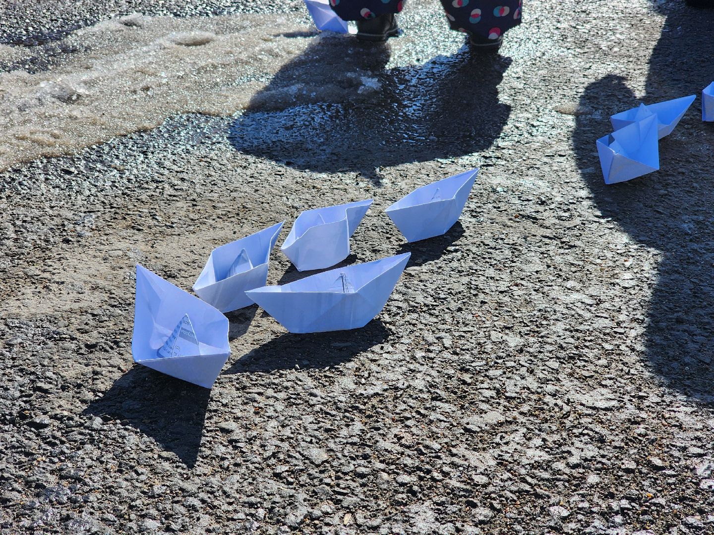 воскресенск, весна, подтопления, жители,