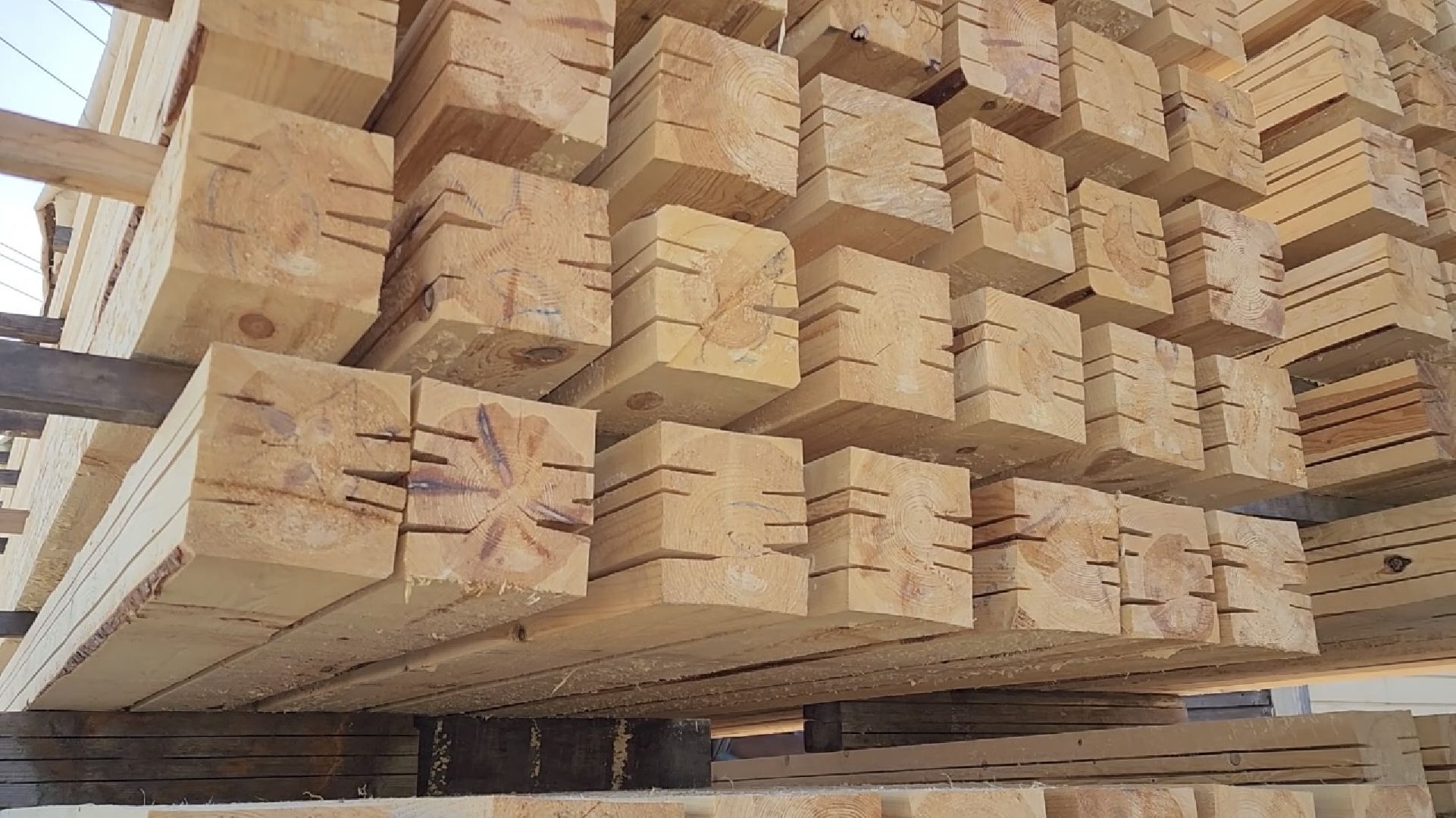 химки, экономика, малый бизнес, предприниматель,