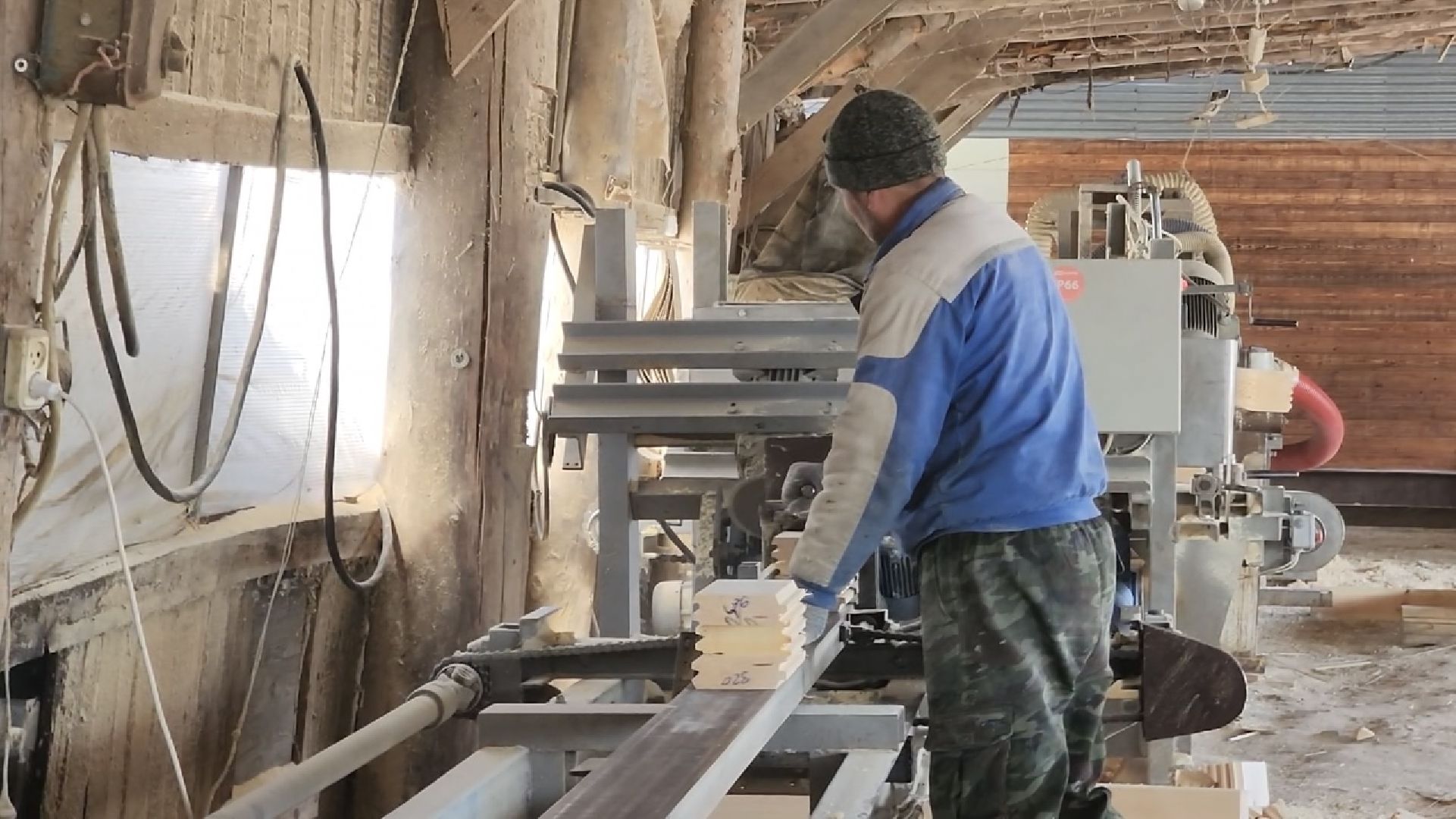 химки, экономика, малый бизнес, предприниматель,