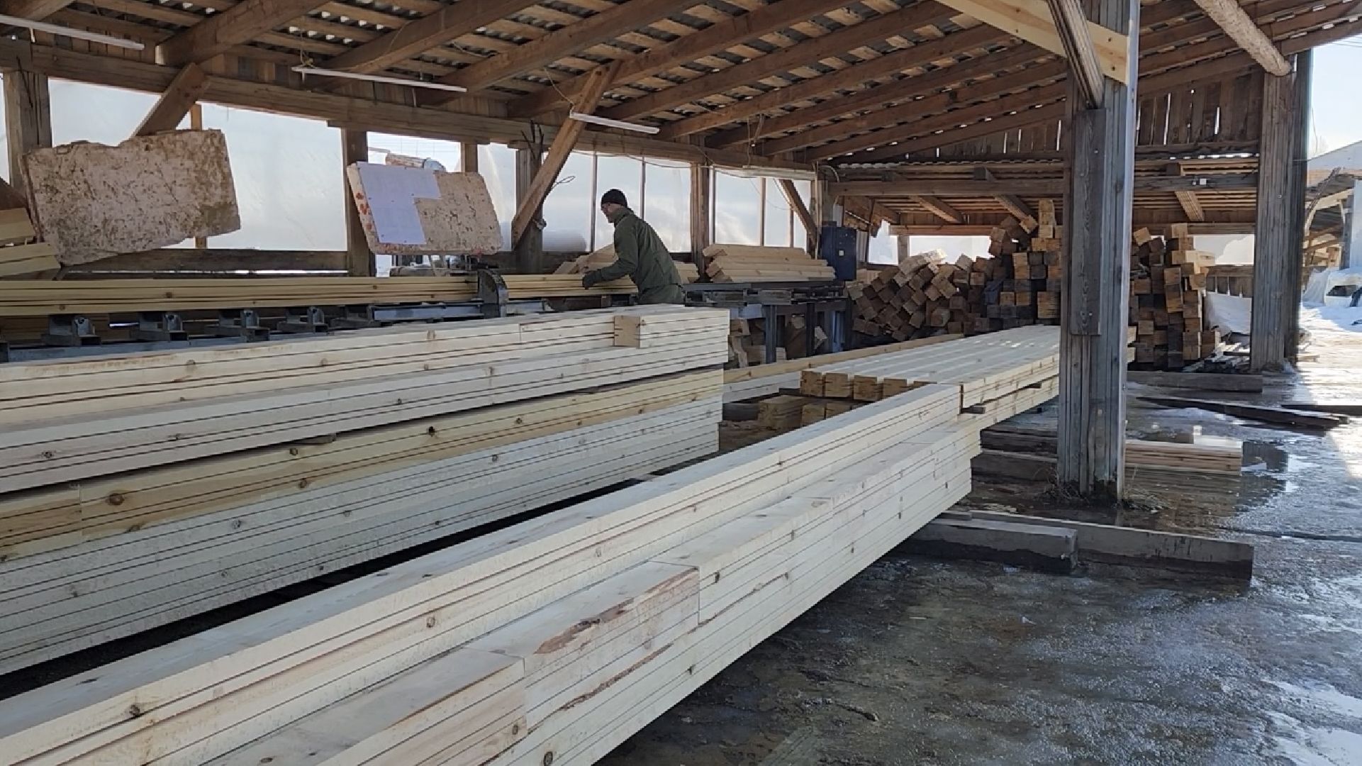 химки, экономика, малый бизнес, предприниматель,