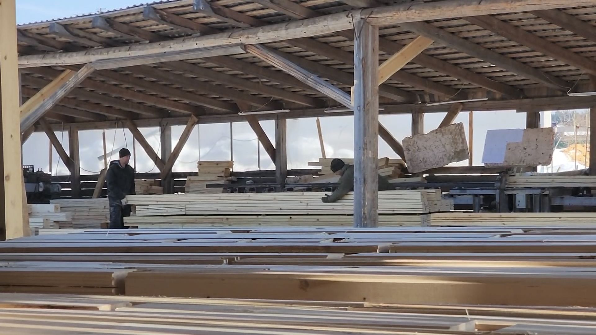 химки, экономика, малый бизнес, предприниматель,