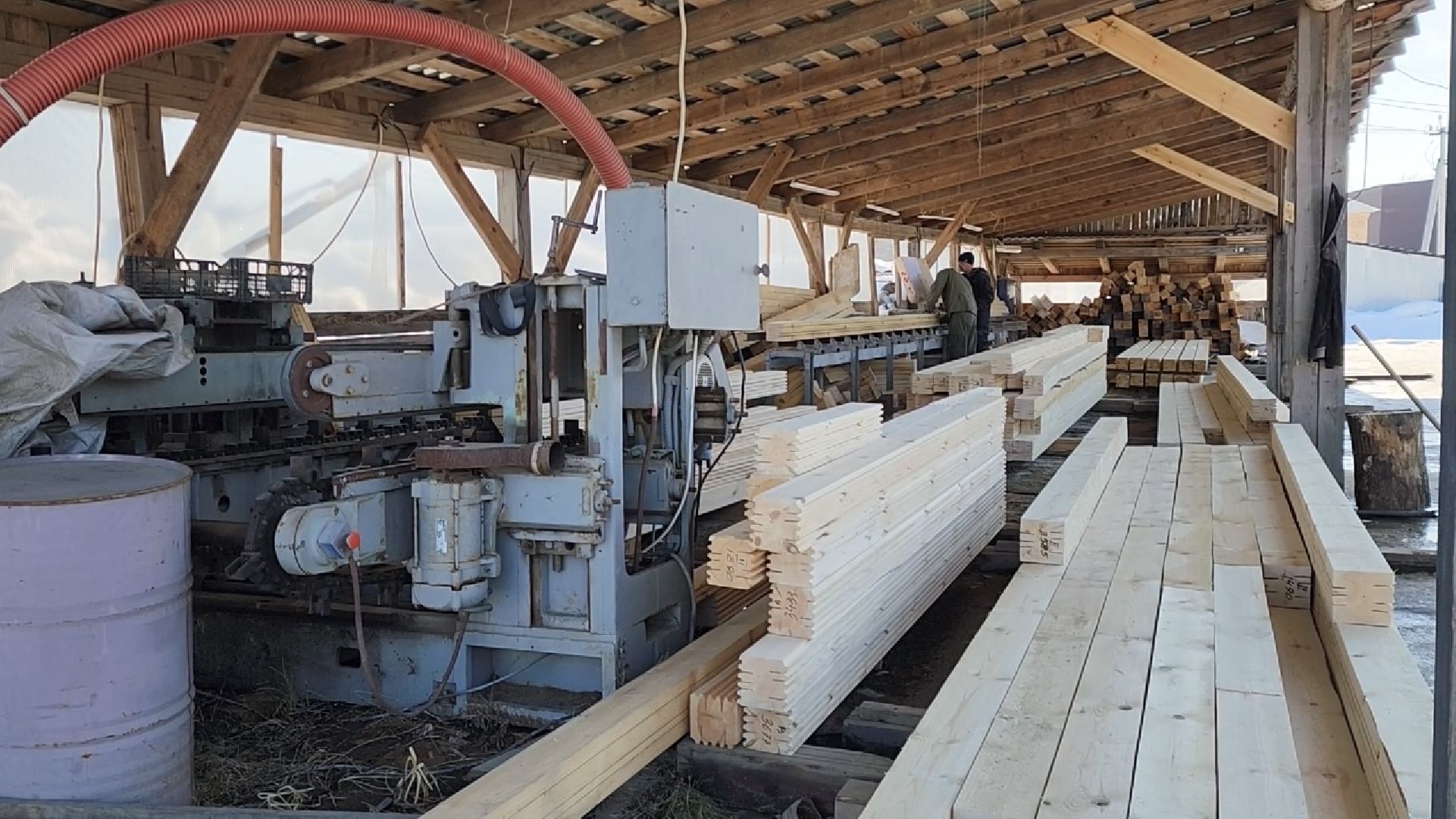 химки, экономика, малый бизнес, предприниматель,