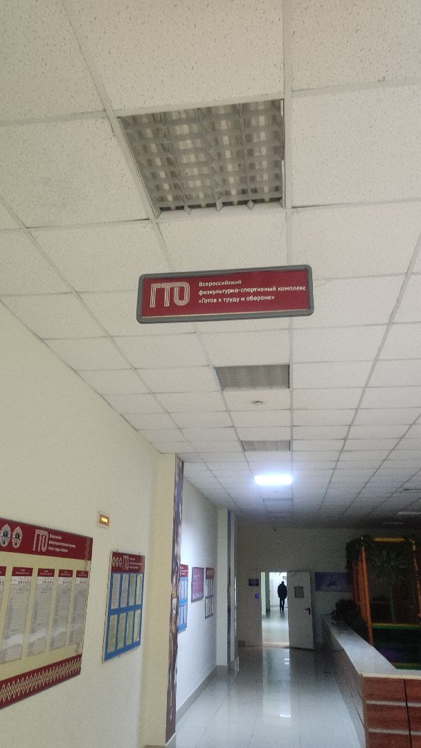 гто, волоколамск, спорт,