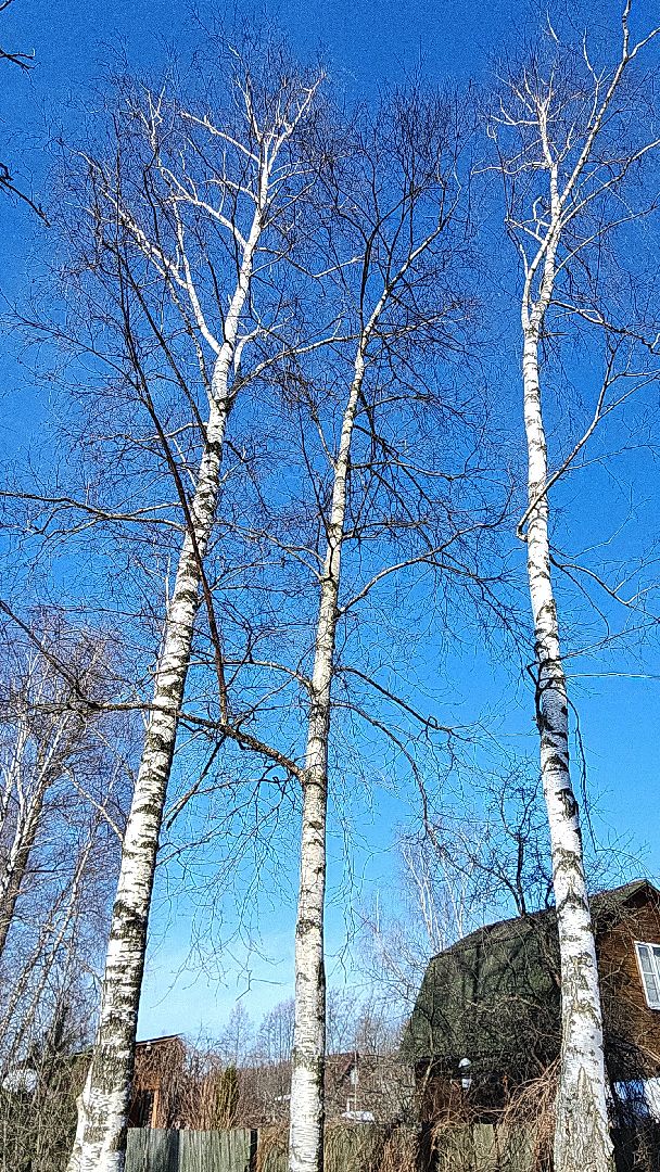 электросталь, мой город, жители города, паводок, половодье, снт, снт фрязево, выездная администрация, комиссия, администрация города,