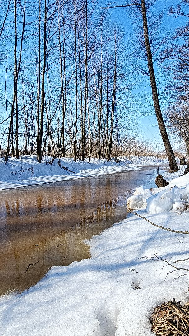 электросталь, мой город, жители города, паводок, половодье, снт, снт фрязево, выездная администрация, комиссия, администрация города,