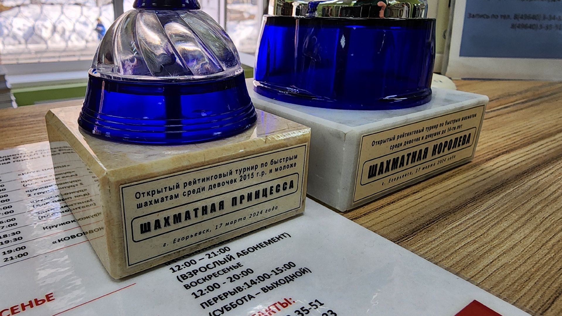 Егорьевск, Подмосковье, Московская область, шахматы,