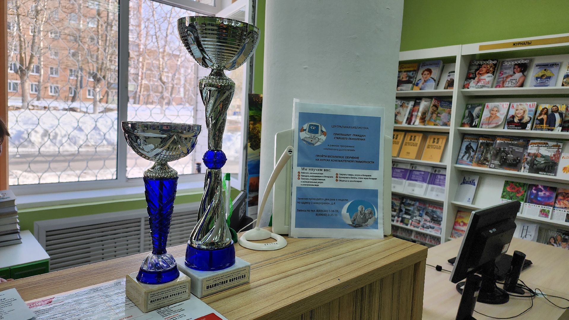 Егорьевск, Подмосковье, Московская область, шахматы,