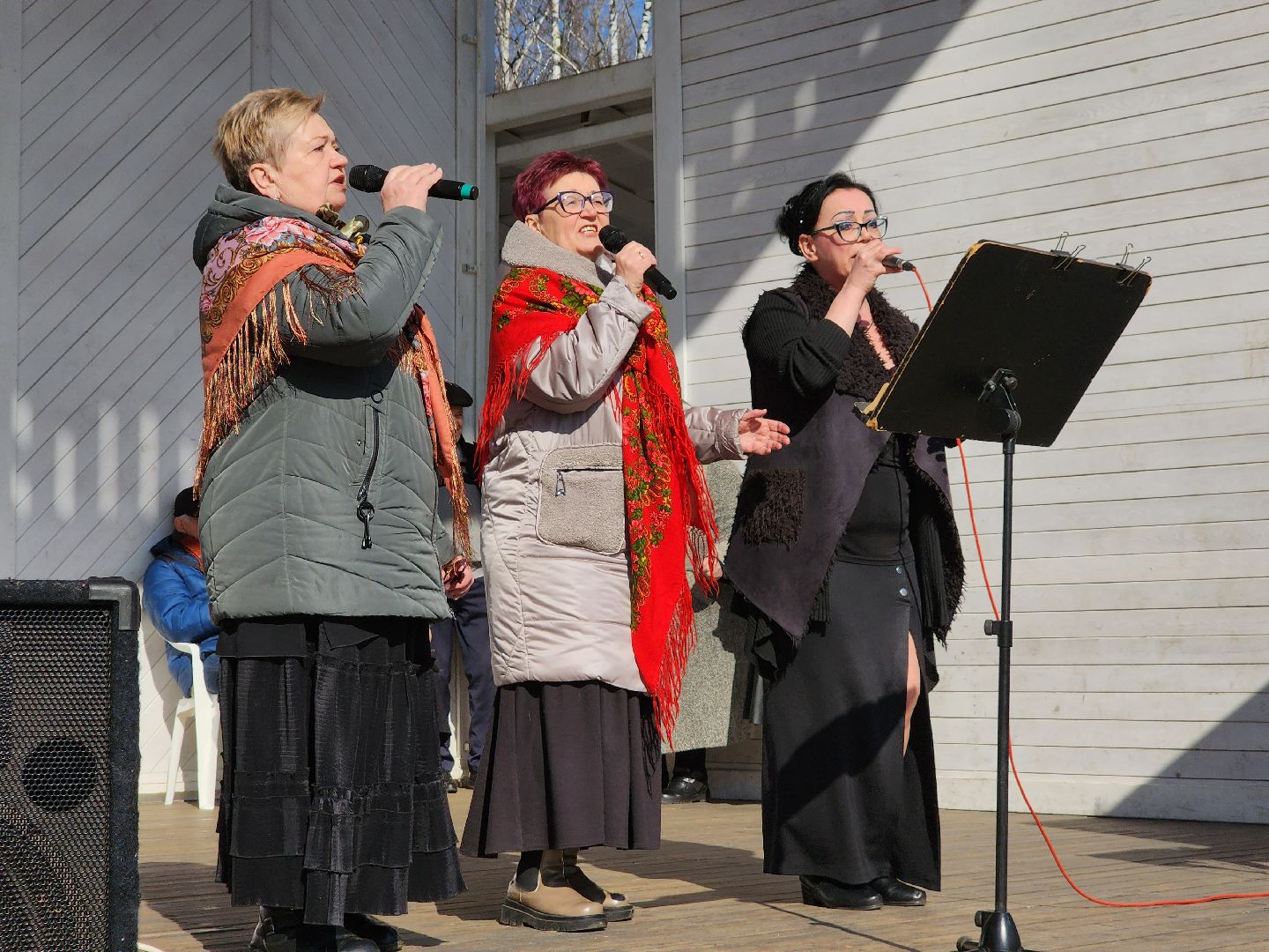 пушкино, активное долголетие, день открытых дверей, центральный парк, пожилые люди, творчество, спорт, танцы,