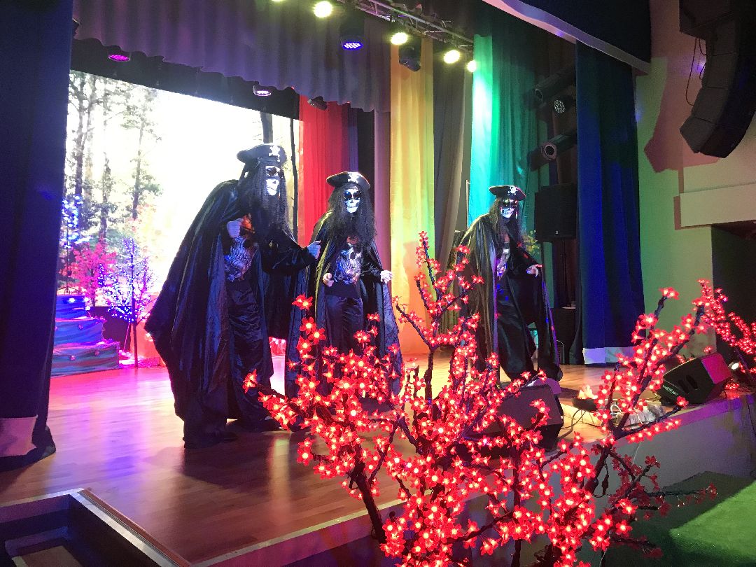 Балашиха, ДК Кучино, любительский театр Прометей, музыкальное шоу, сатира, юмор, Огонь,вода и медные трубы, сказка, профессионализм актёров