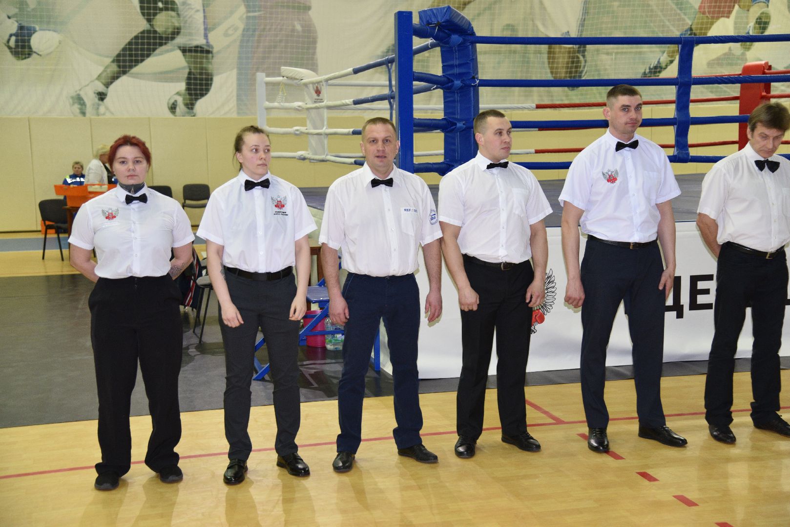 лотошино, бокс, ксц лотошино, боевые перчатки,