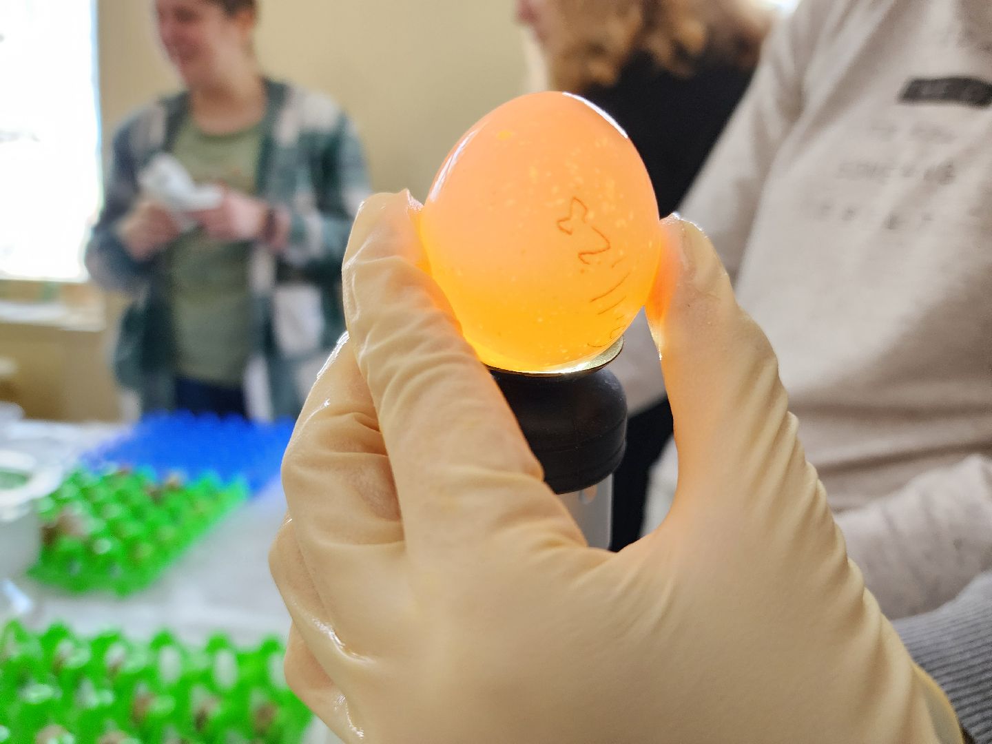 Подольск, ВИЖ им Эрнста, наука, мастер-класс,