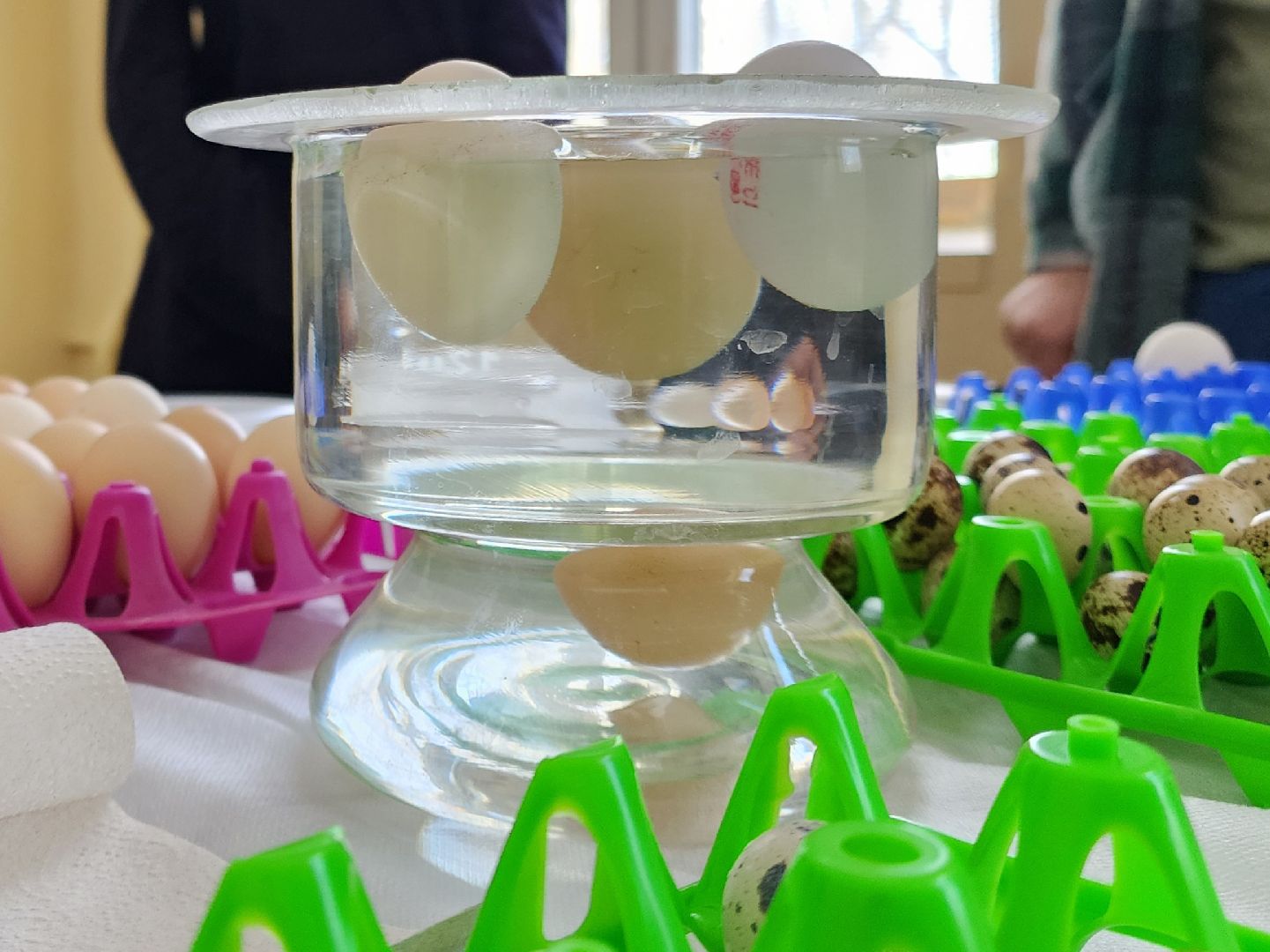 Подольск, ВИЖ им Эрнста, наука, мастер-класс,