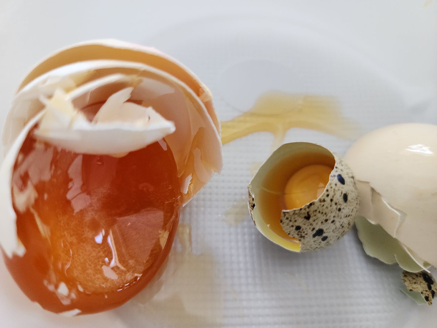 Подольск, ВИЖ им Эрнста, наука, мастер-класс,