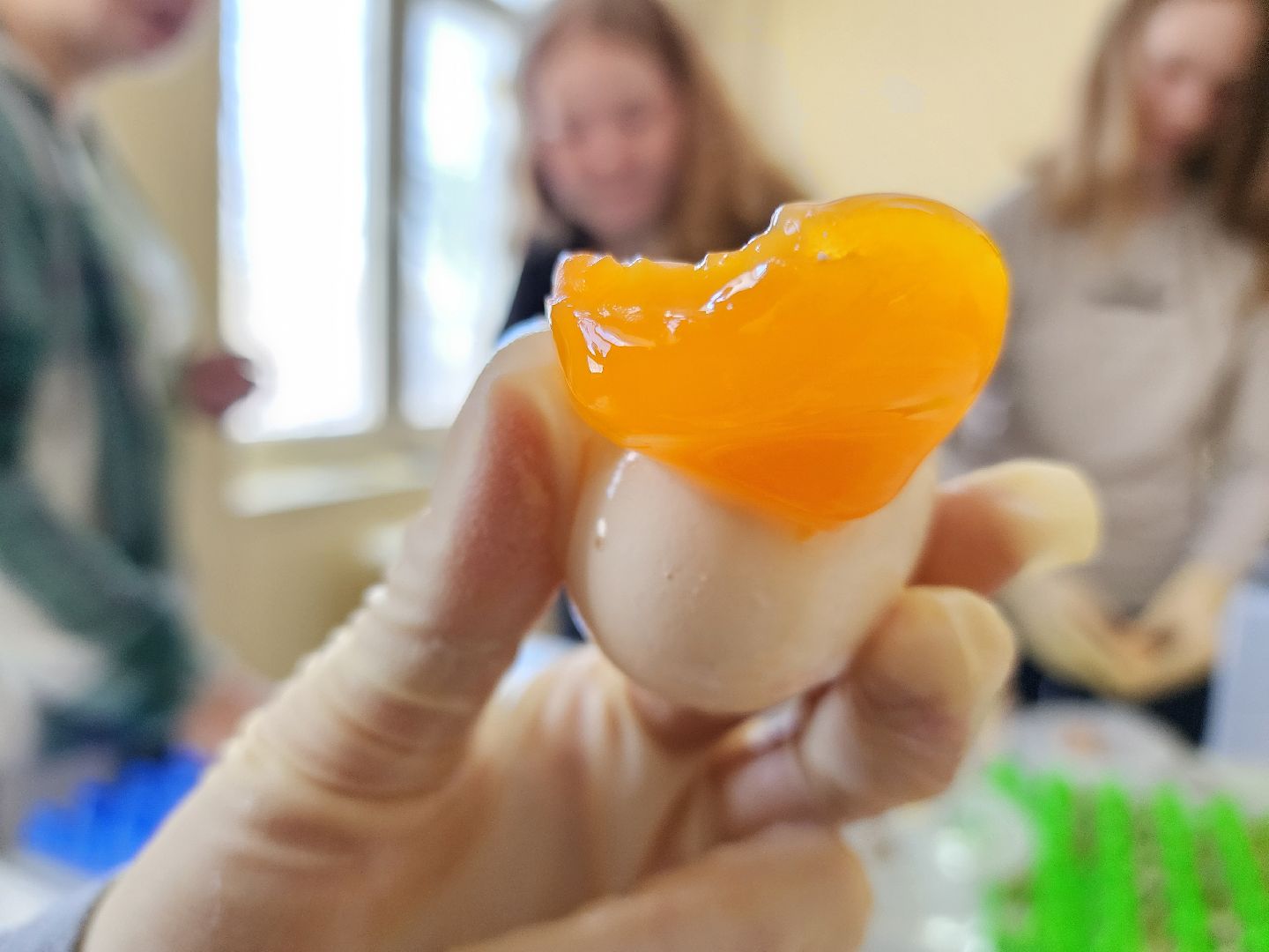 Подольск, ВИЖ им Эрнста, наука, мастер-класс,