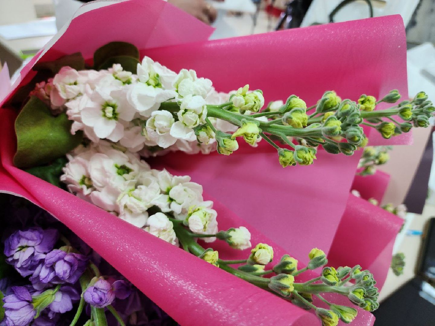 можайск, можайский городской округ, подмосковье, жкх, день работников жкх, праздник, профессиональный праздник,