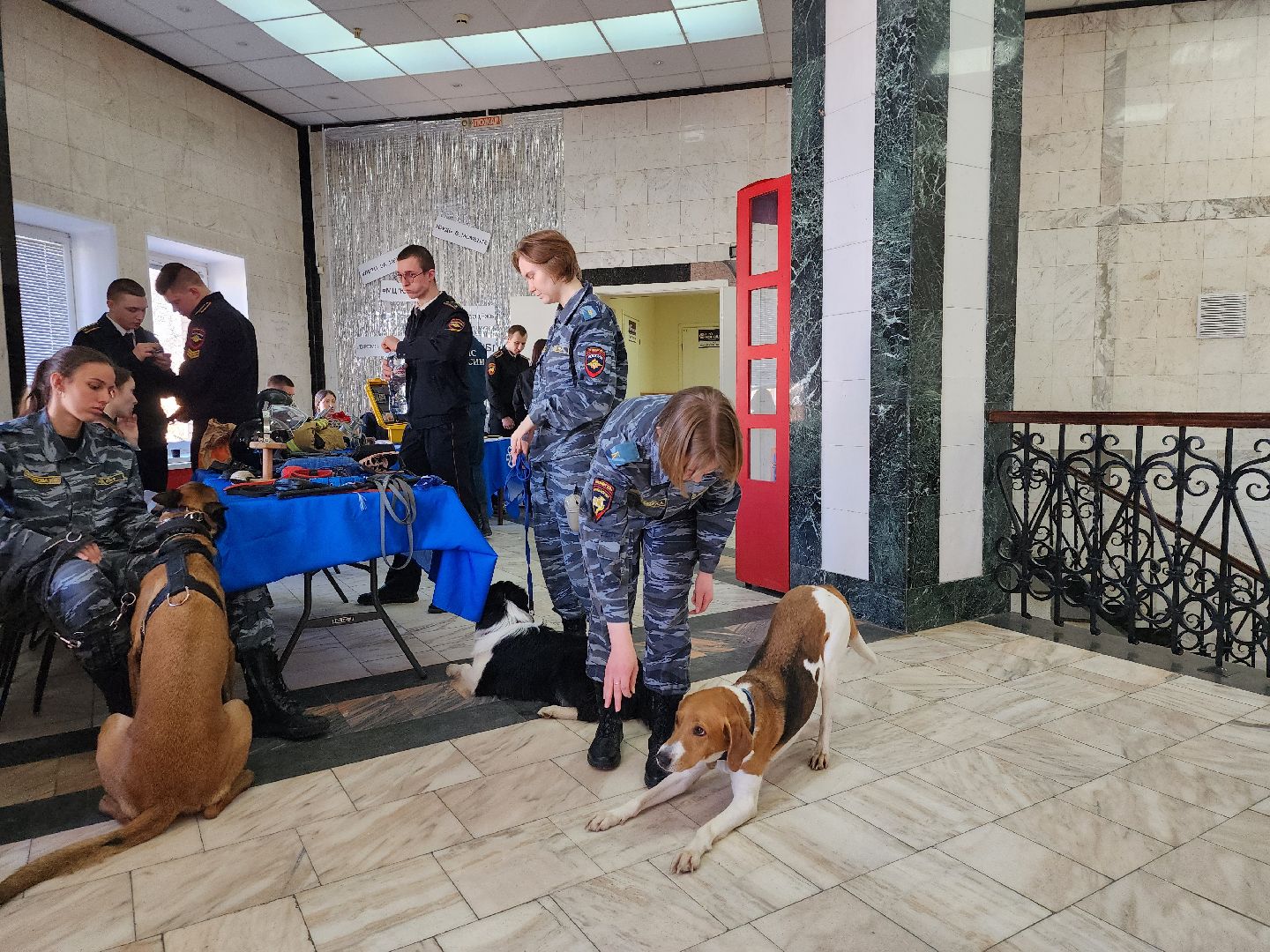 Ярмарка вакансий, обучение, карьера, Ногинск, Богородский городской округ,