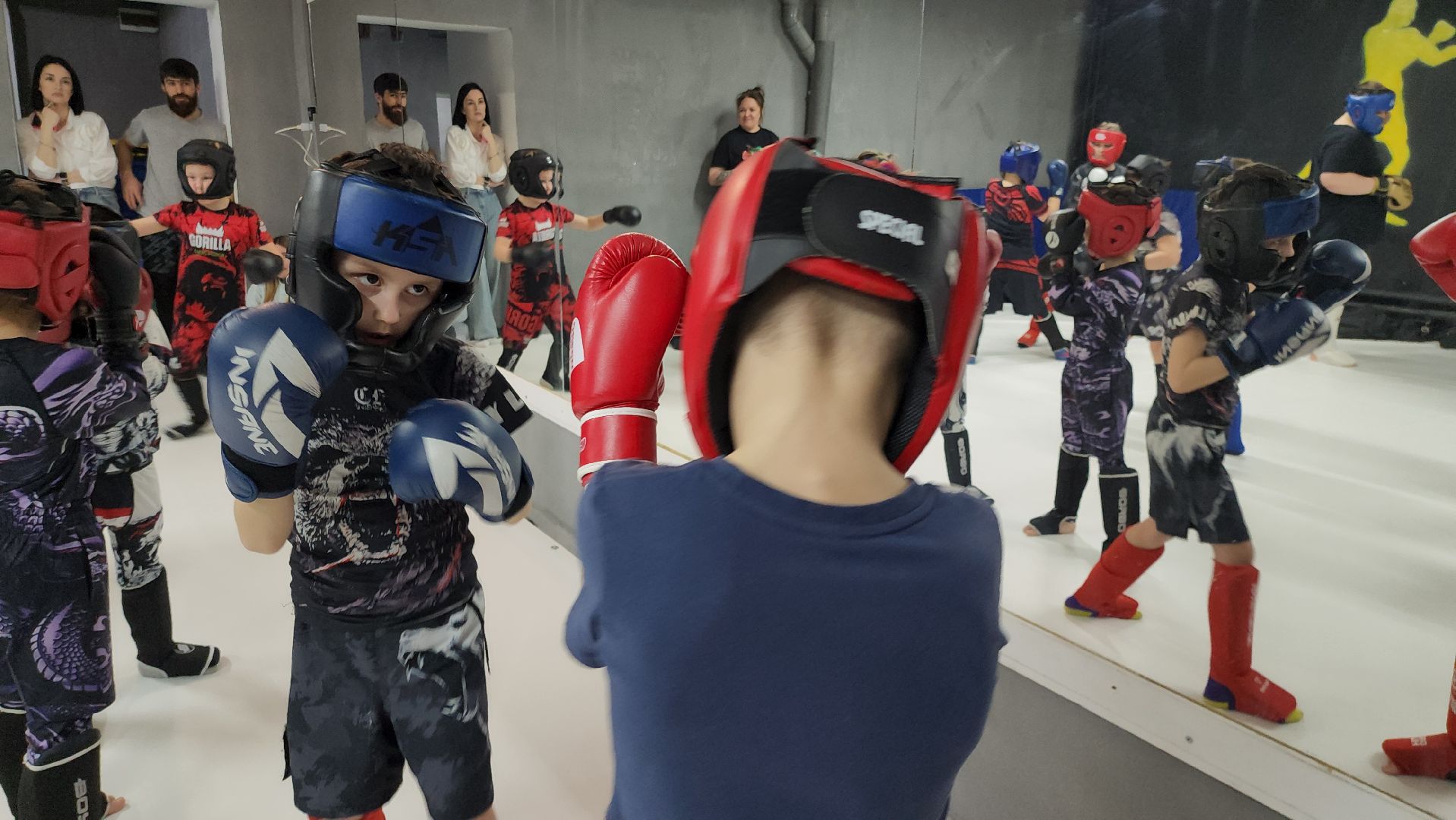 спорт, спорт в подмосковье, спорт в рузе, спорт московской области, панкратион, единоборства, руза,