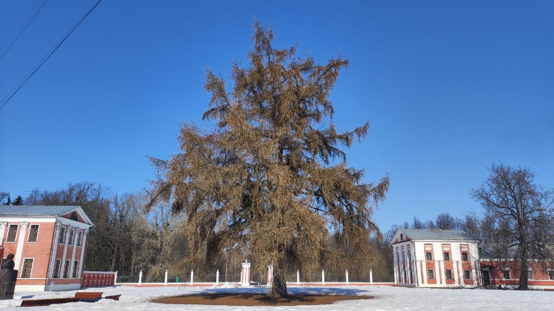 волоколамск, ярополец, пушкин, усадьба Гончаровых,