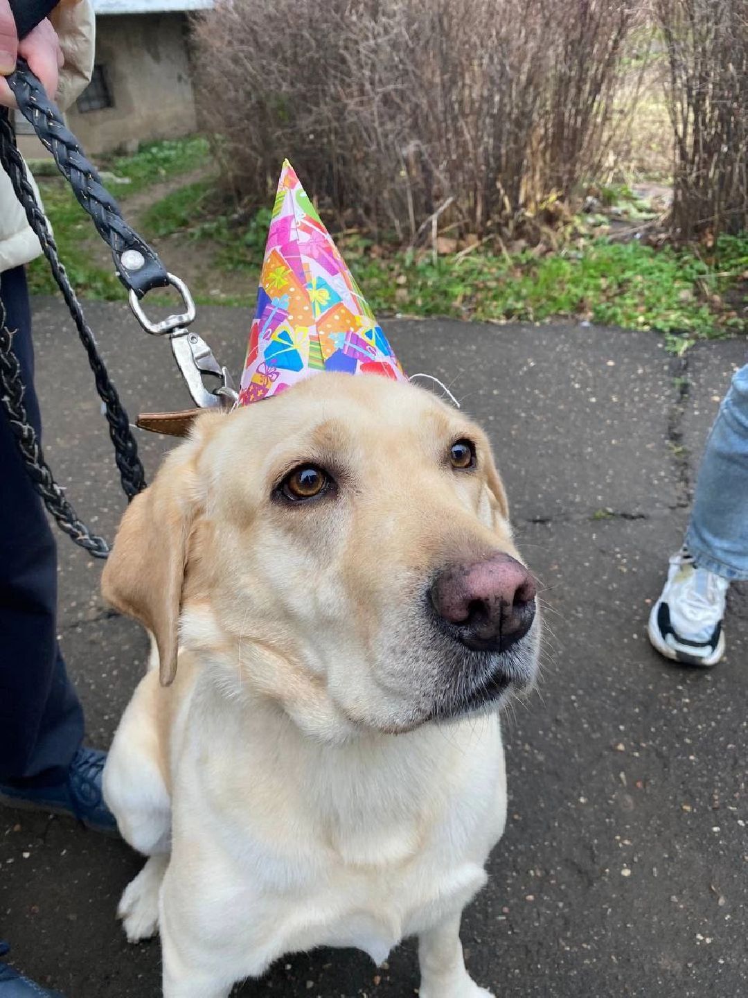 Можайск, МожайскийГородскойОкруг, Подмосковье, Стихи, Творчество