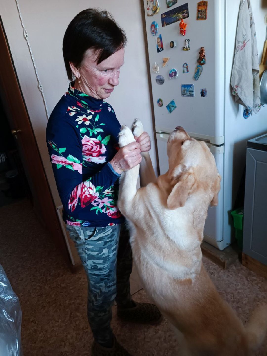 Можайск, МожайскийГородскойОкруг, Подмосковье, Стихи, Творчество