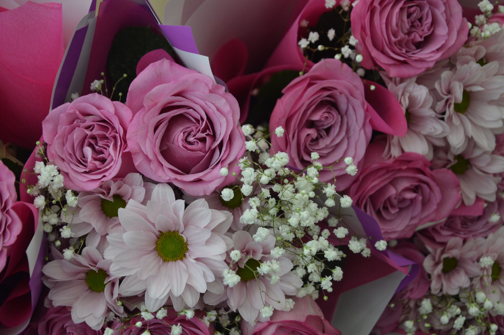 шатура, день работника культуры, праздник, мероприятие, награждение, городской округ культура,