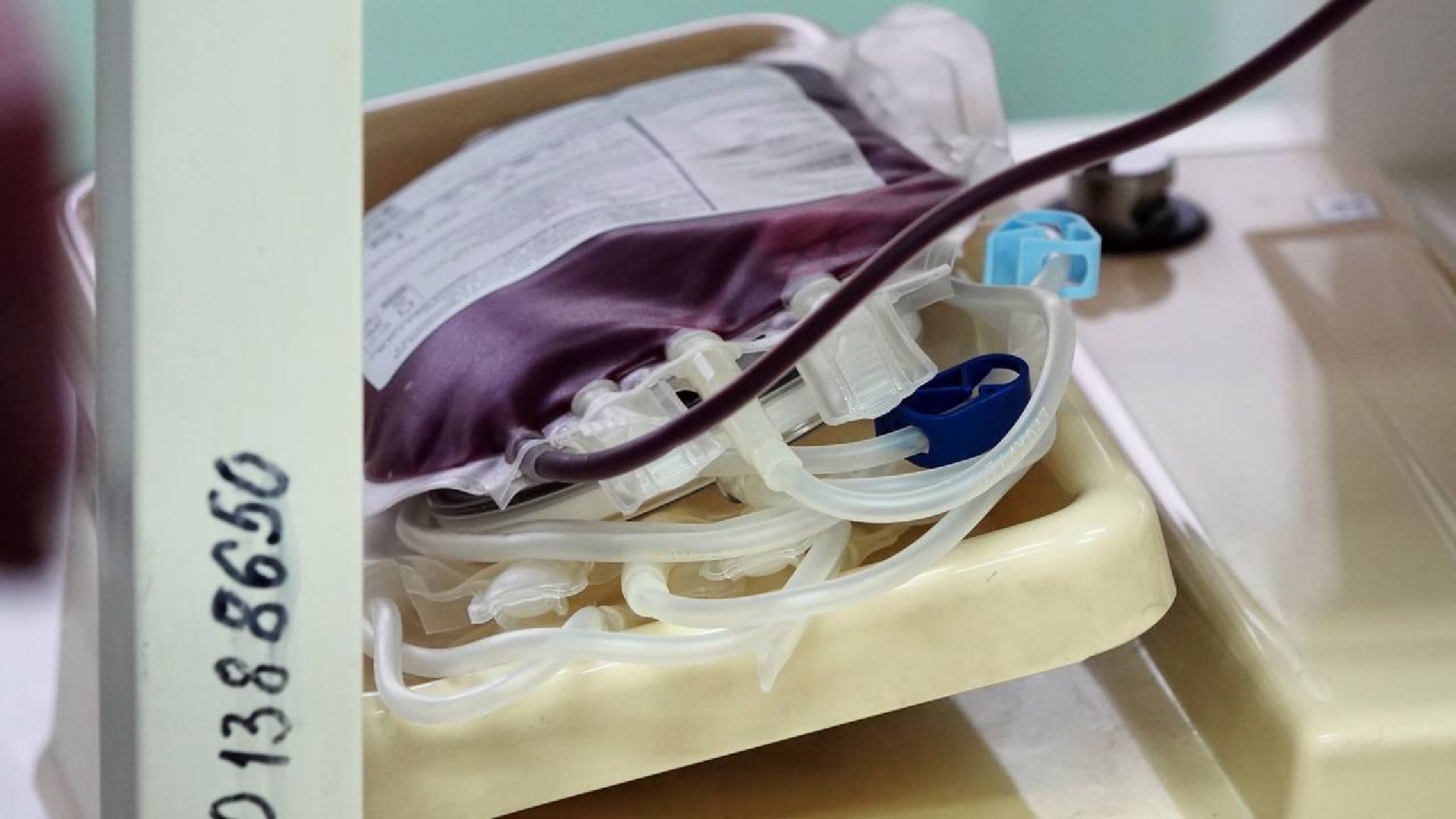 Доноры, Сергиево-Посадская больница, Здоровье, Помощь, Добровольцы,теракт,