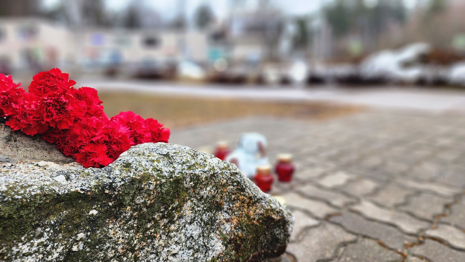 протвино, стихийный мемориал, память, крокус сити, трагедия,теракт,