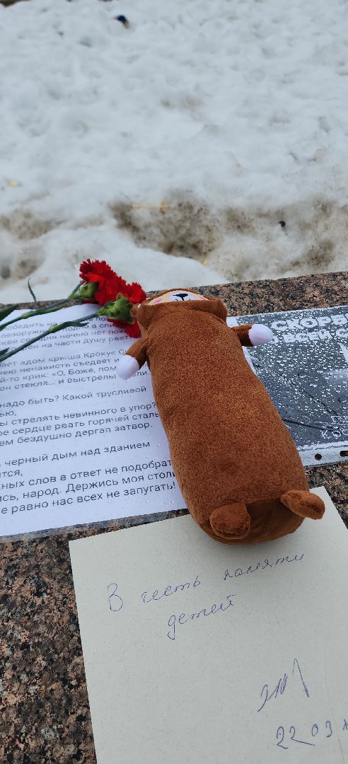 Электросталь, мой город, жители города, память, теракт, свеча, свеча памяти,