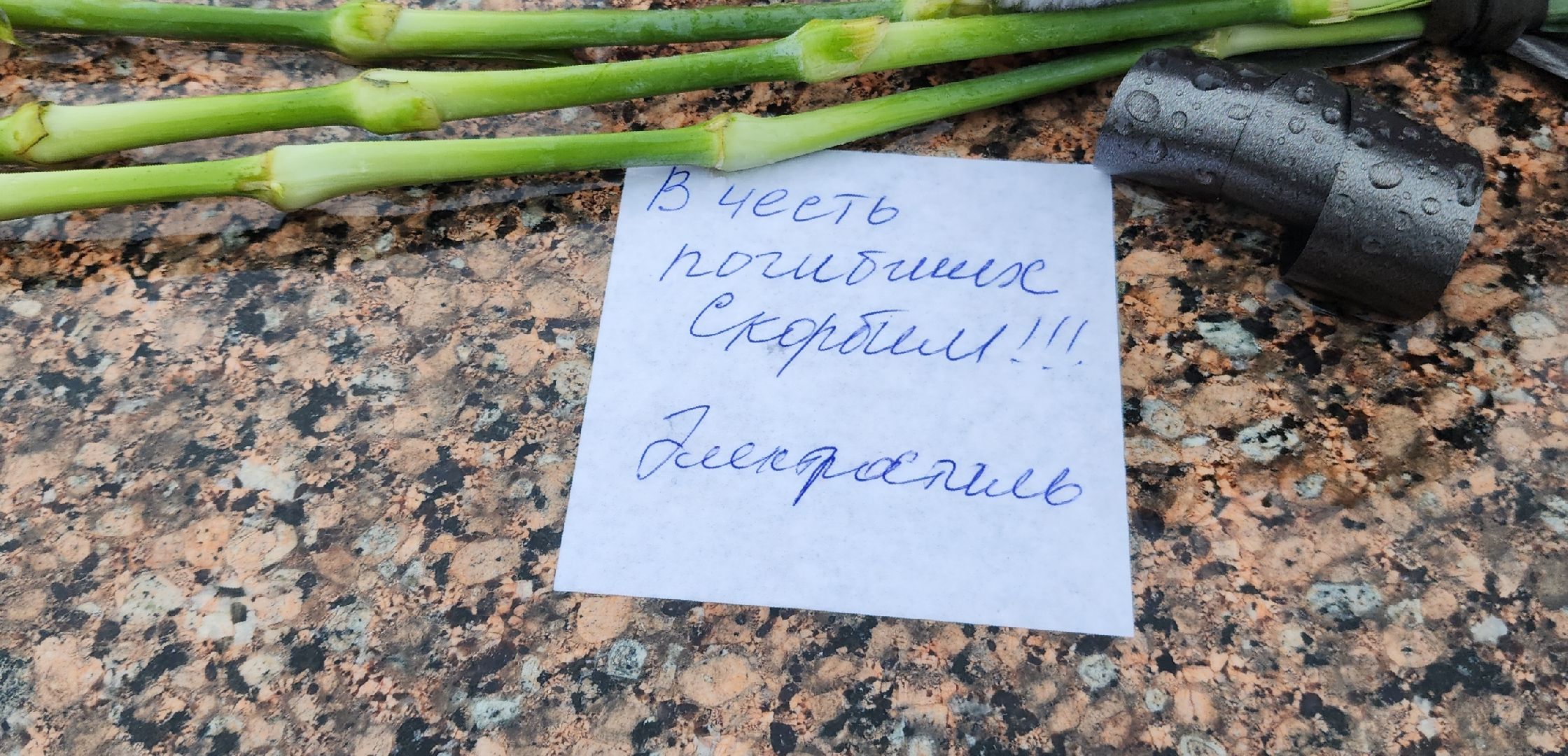 Электросталь, мой город, жители города, память, теракт, свеча, свеча памяти,