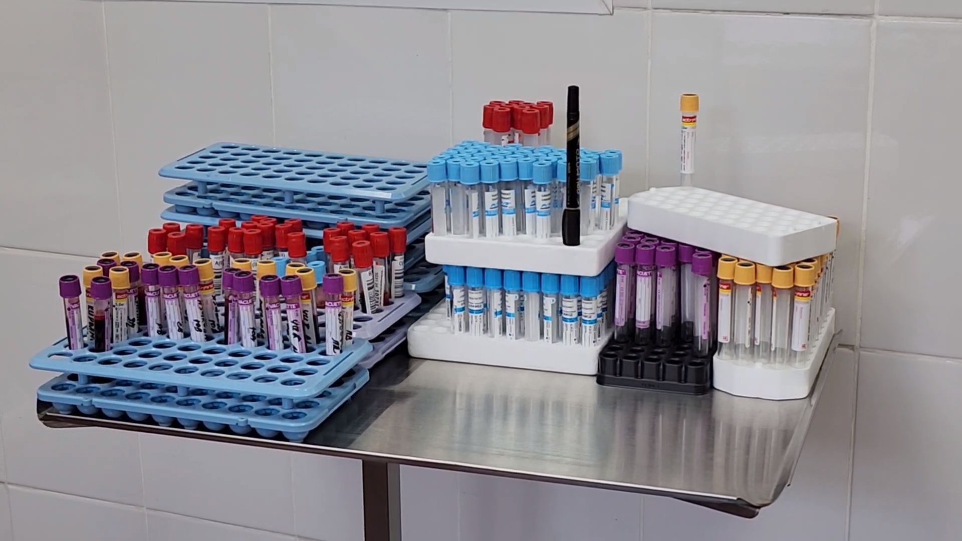 королёв,теракт,