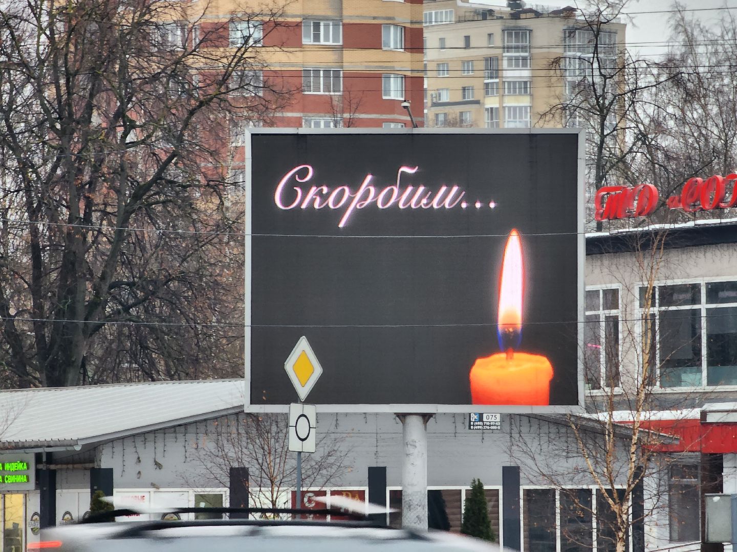 пушкино, скорбим,теракт,