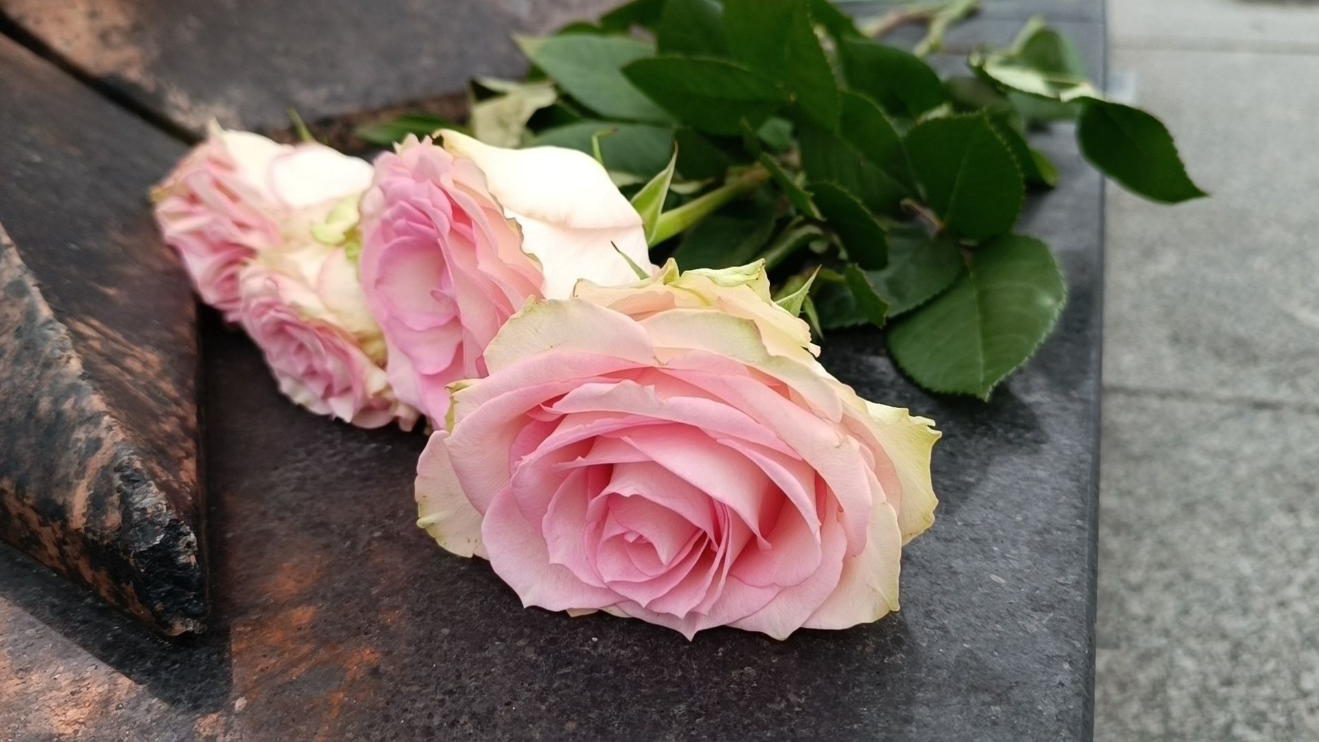 лобня, память, мемориал,теракт,