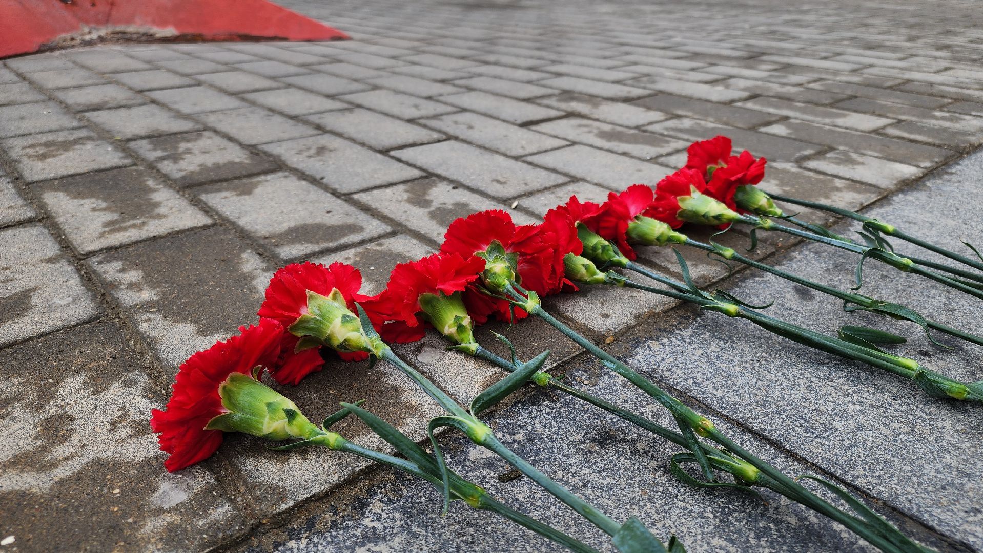 кашира, теракт, Красногорск, крокус сити холл, возложение цветов,