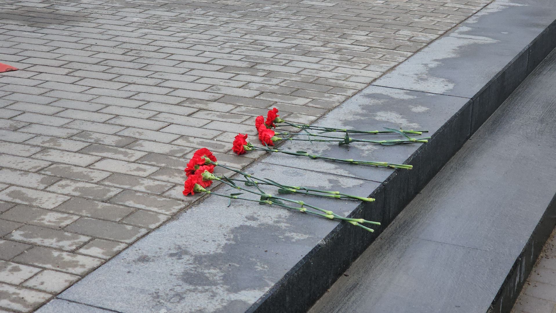 кашира, теракт, Красногорск, крокус сити холл, возложение цветов,