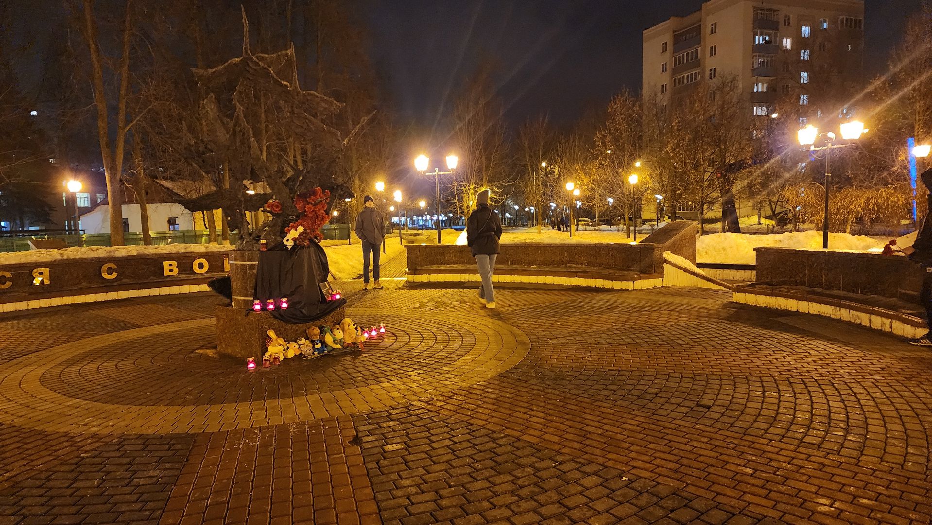 Подмосковье, Городской округ Пушкинский, Ивантеевка, Волонтры,теракт,