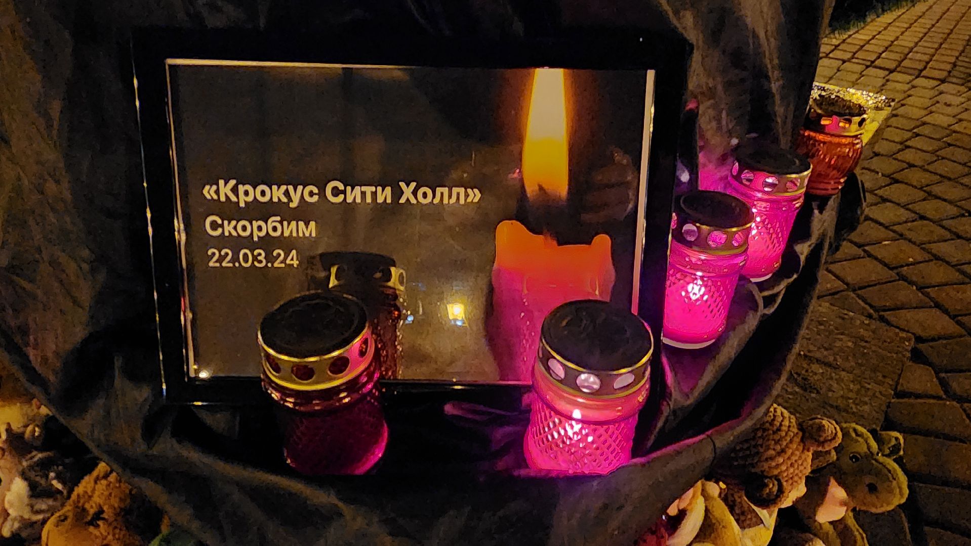 Подмосковье, Городской округ Пушкинский, Ивантеевка, Волонтры,теракт,