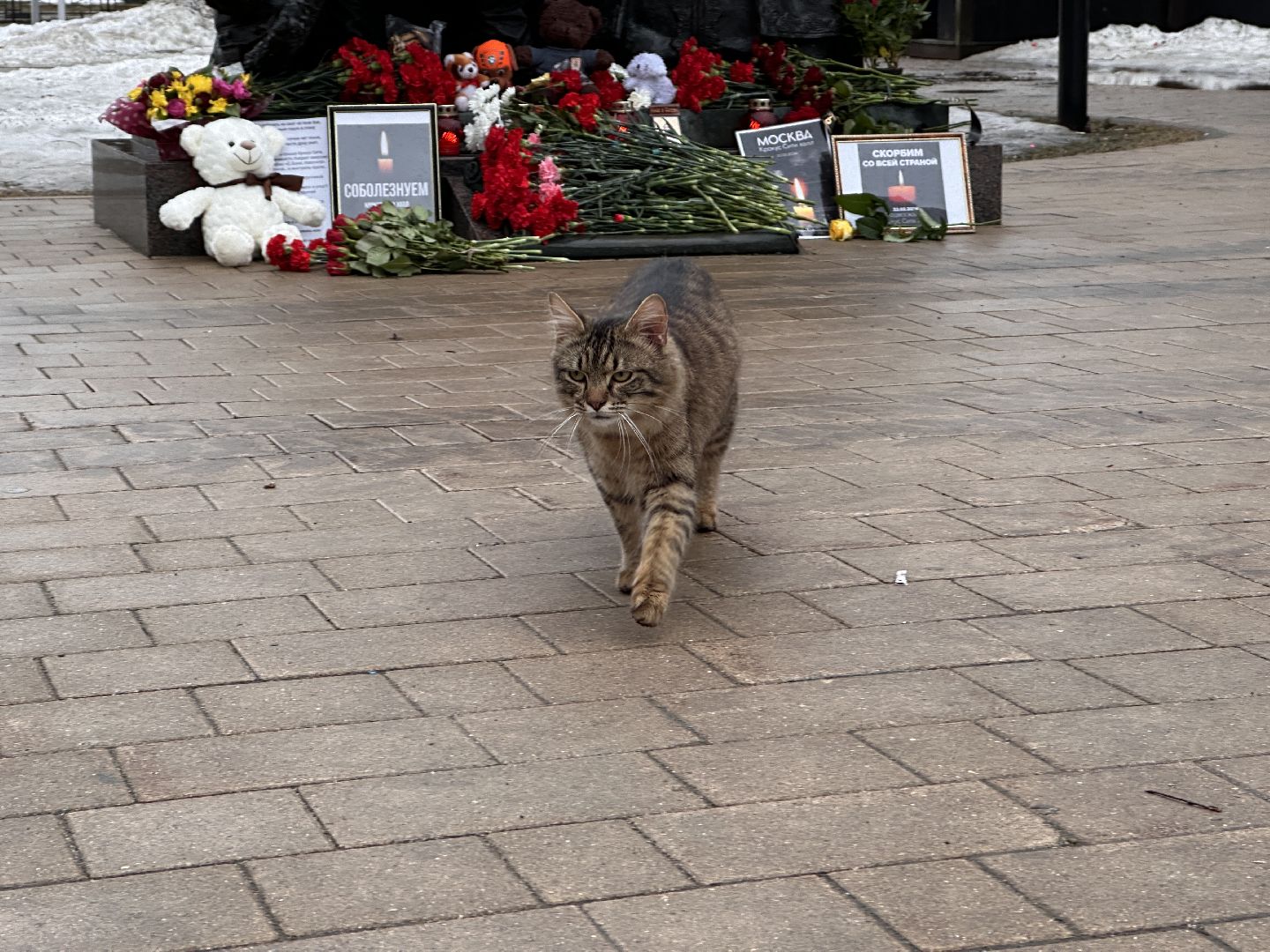 Клин, теракт, память, общество, возложение цветов, крокус сити,