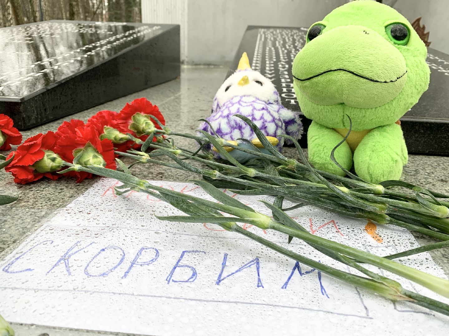 Балашиха, Подмосковье, мемориал, Память,теракт,