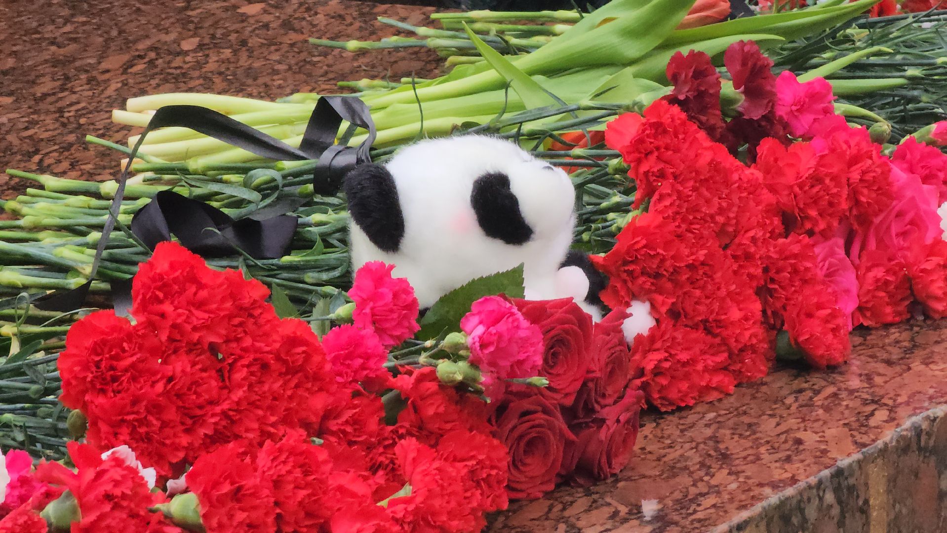 долгопрудный, крокус сити, скорбим, молодая гвардия, молодая гвардия подмосковья, молодежь,возложение цветов,теракт,